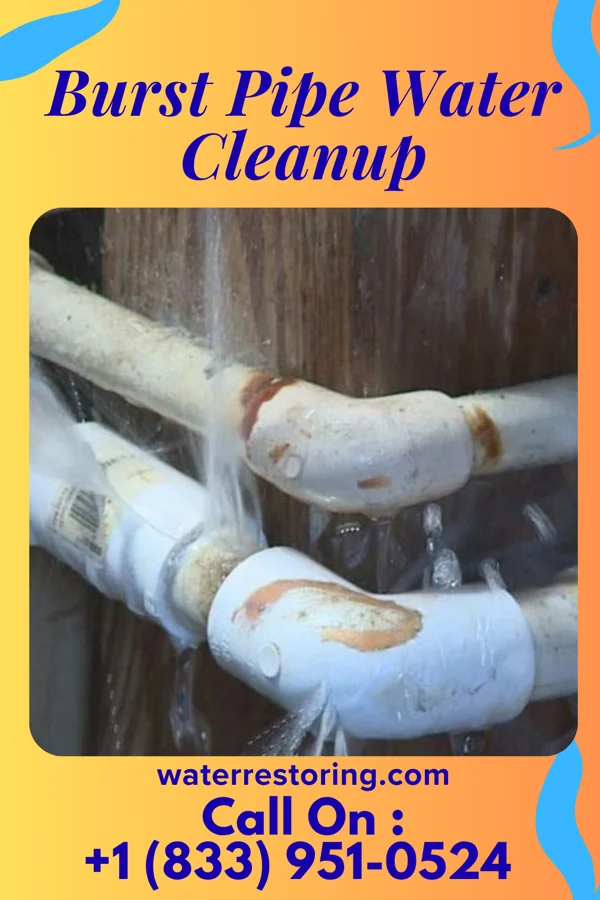 Burst Pipe Water Cleanup in Deer Lodge, MT