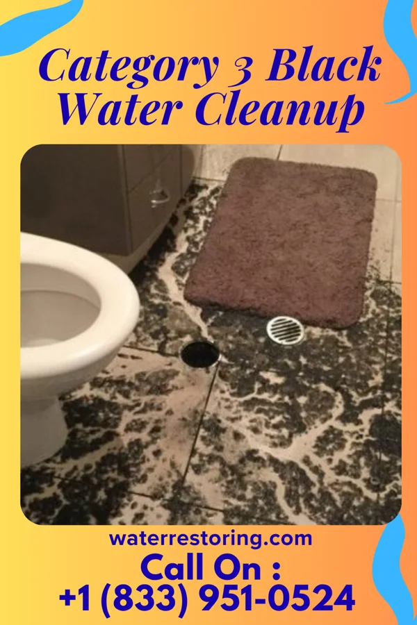 Category 3 Black Water Cleanup in Deer Lodge, MT